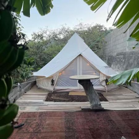 Hotel Yurt In Avocado Garden Güimar Exterior foto