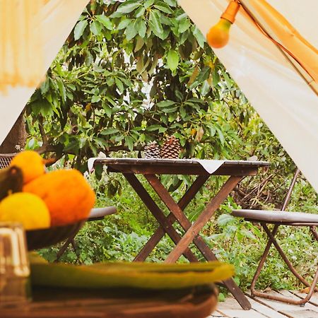 Hotel Yurt In Avocado Garden Güimar Exterior foto
