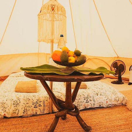 Hotel Yurt In Avocado Garden Güimar Exterior foto