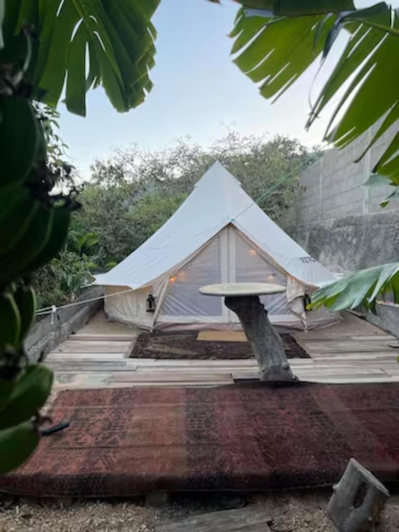 Hotel Yurt In Avocado Garden Güimar Exterior foto