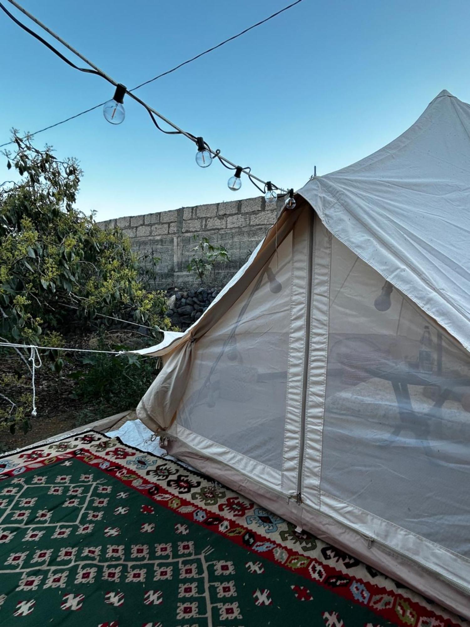 Hotel Yurt In Avocado Garden Güimar Exterior foto
