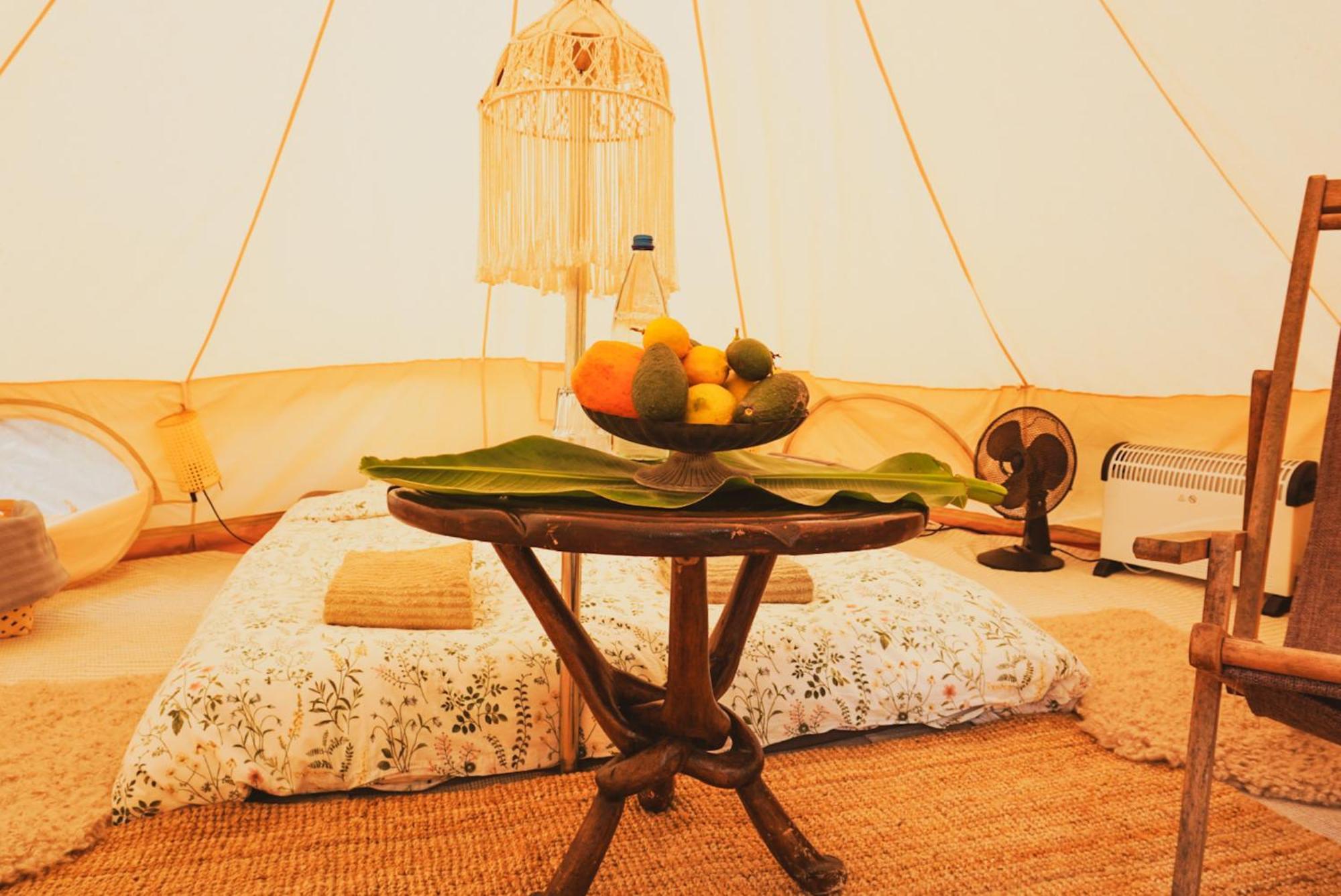 Hotel Yurt In Avocado Garden Güimar Exterior foto