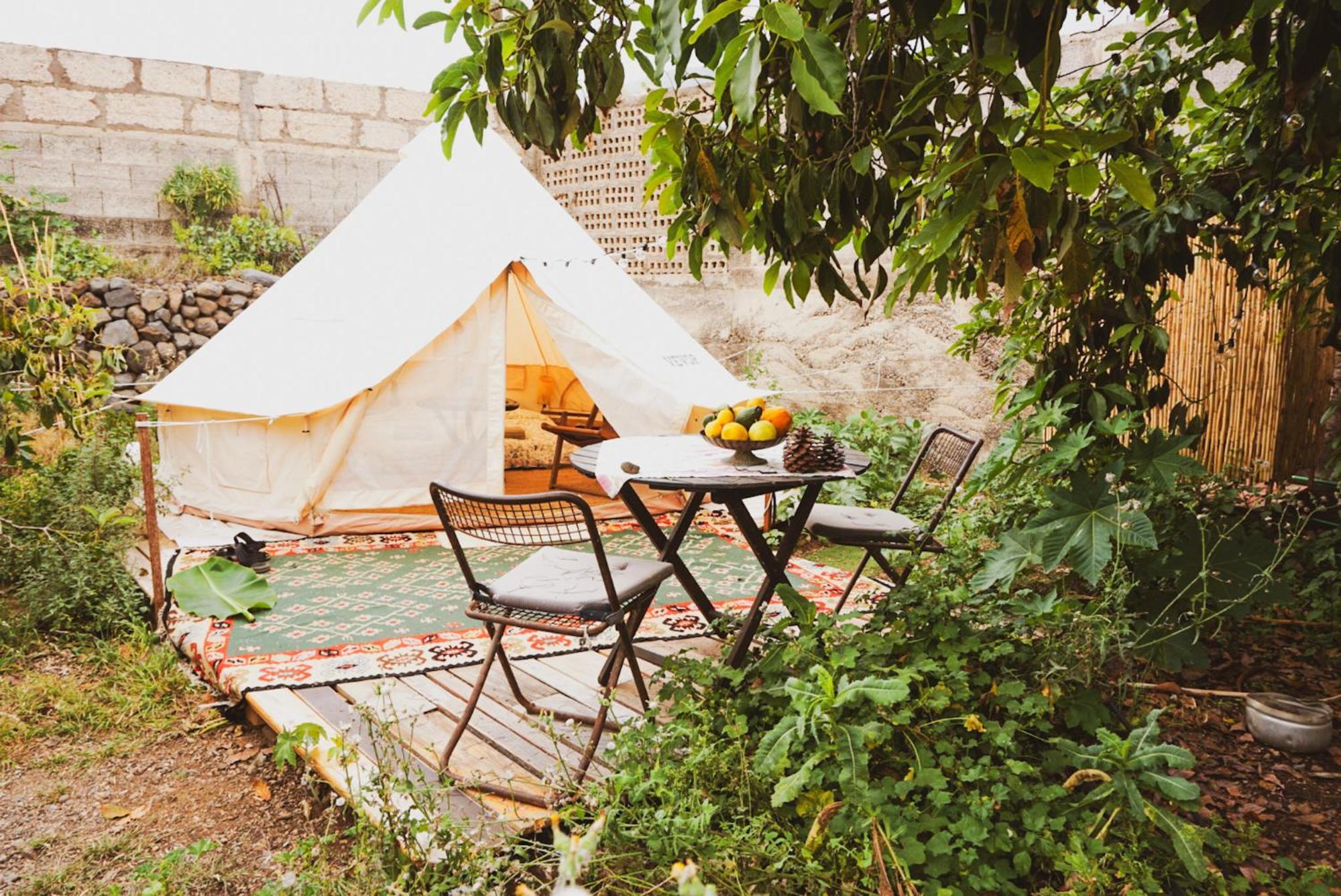 Hotel Yurt In Avocado Garden Güimar Exterior foto