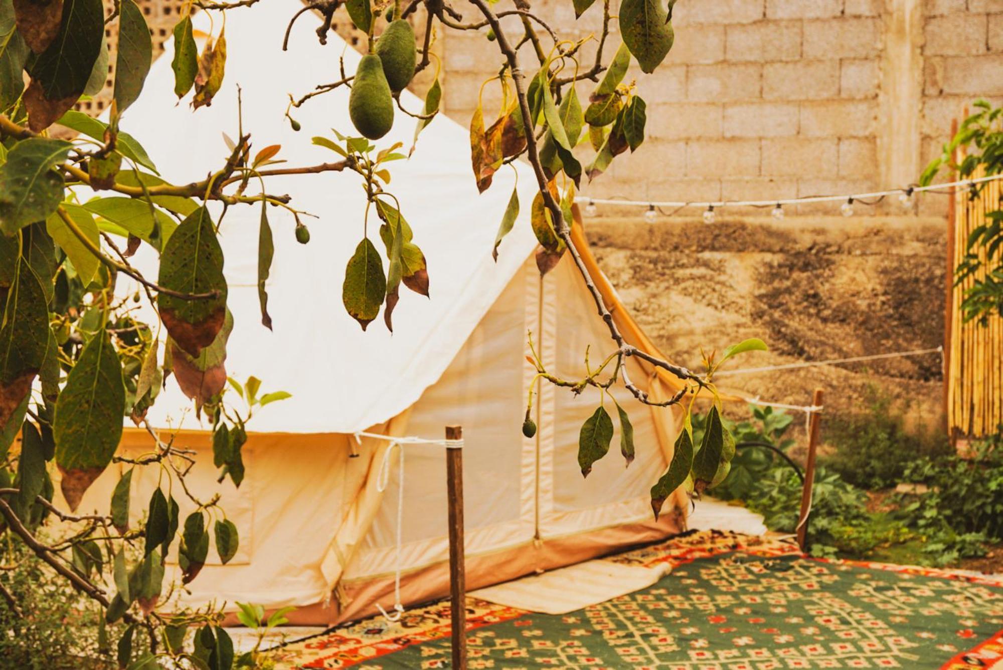 Hotel Yurt In Avocado Garden Güimar Exterior foto